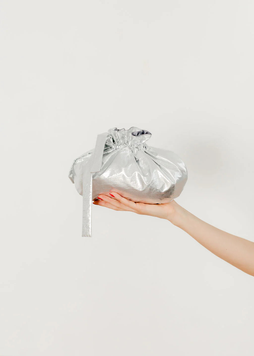 Dumpling Bag