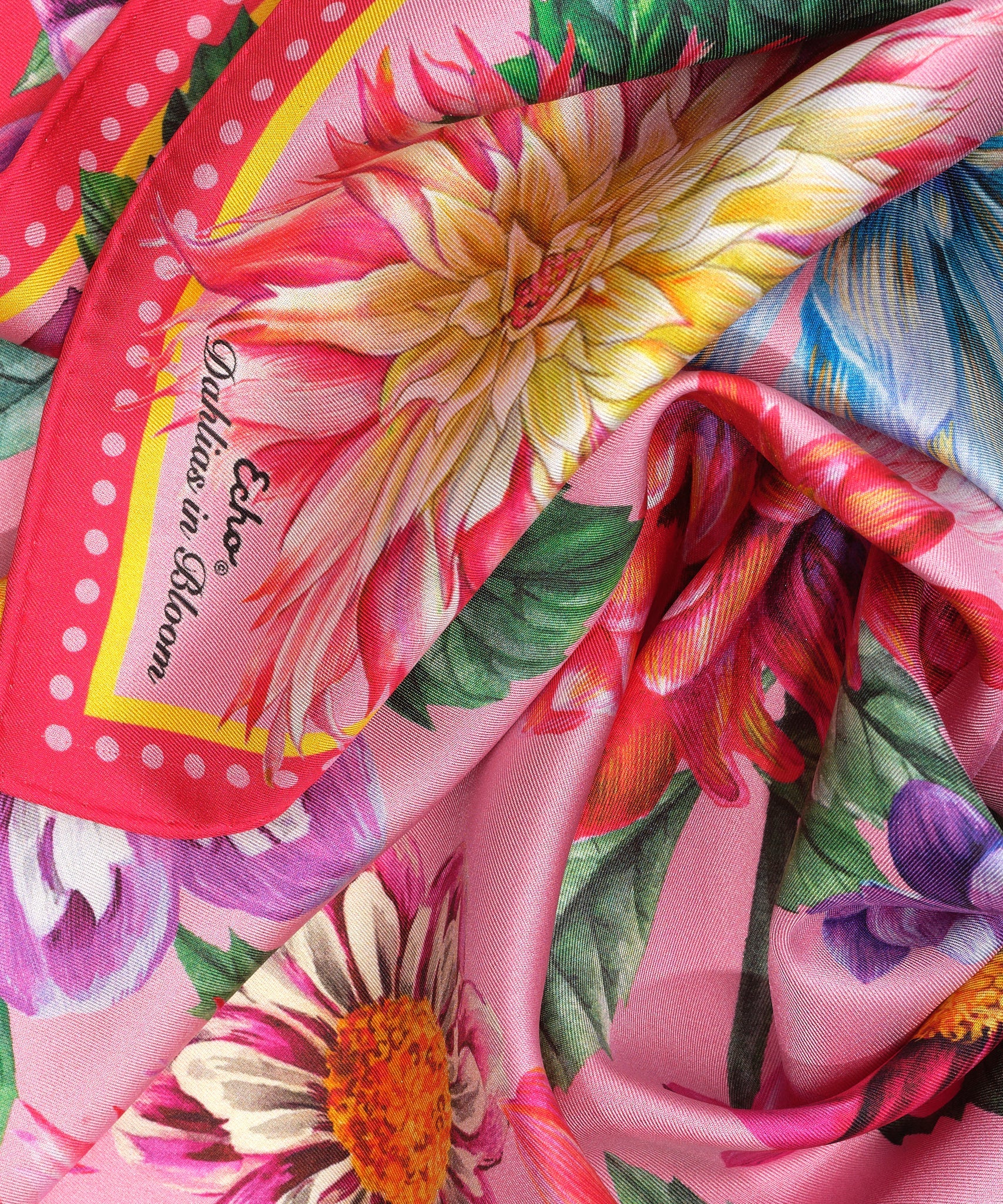 Dahlias In Bloom