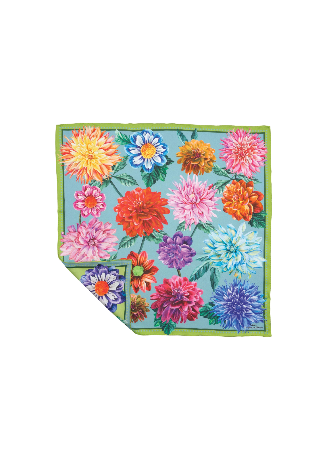 Dahlias In Bloom