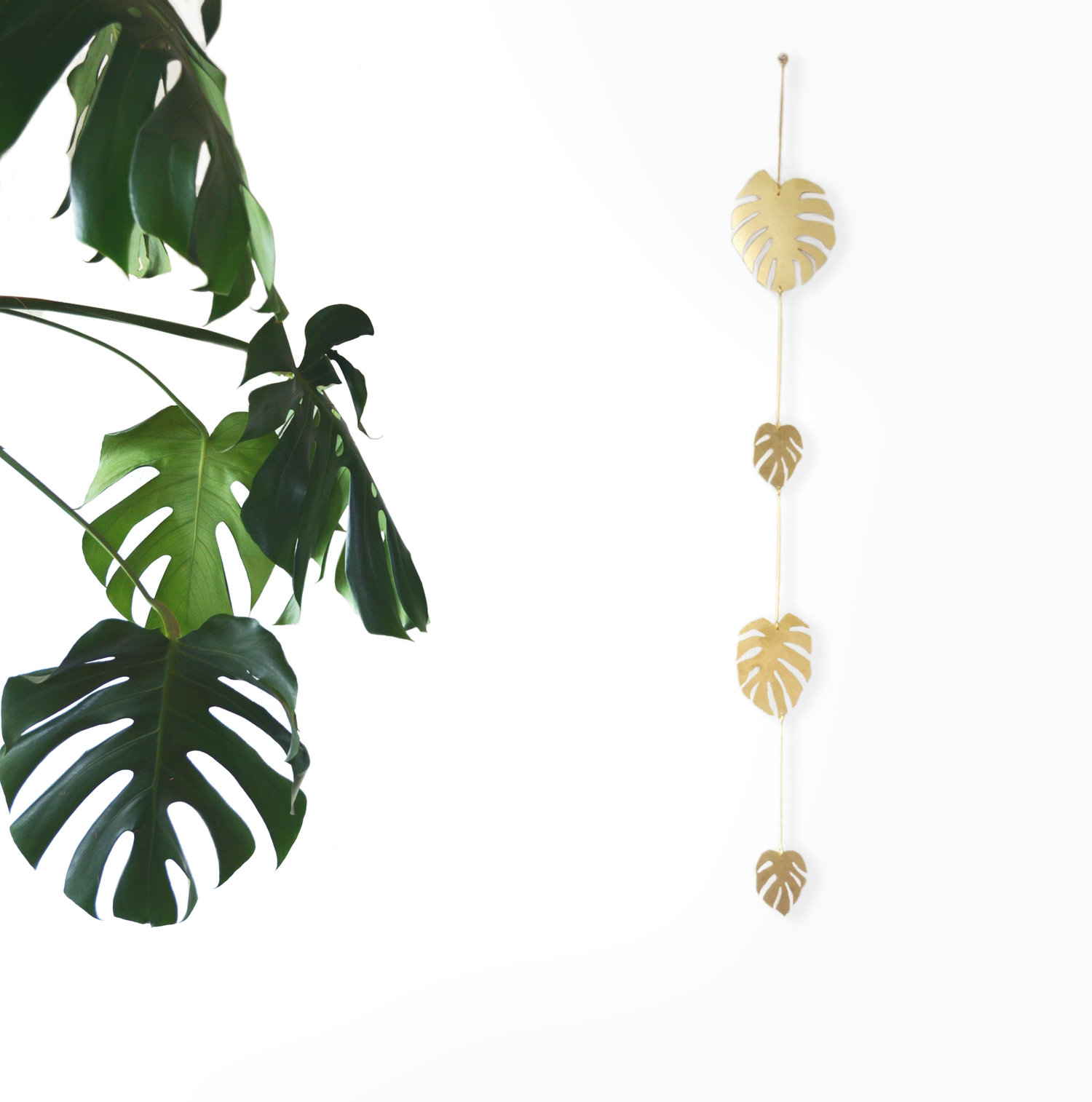 Monstera Vine Wall Hanging - Frock Toronto