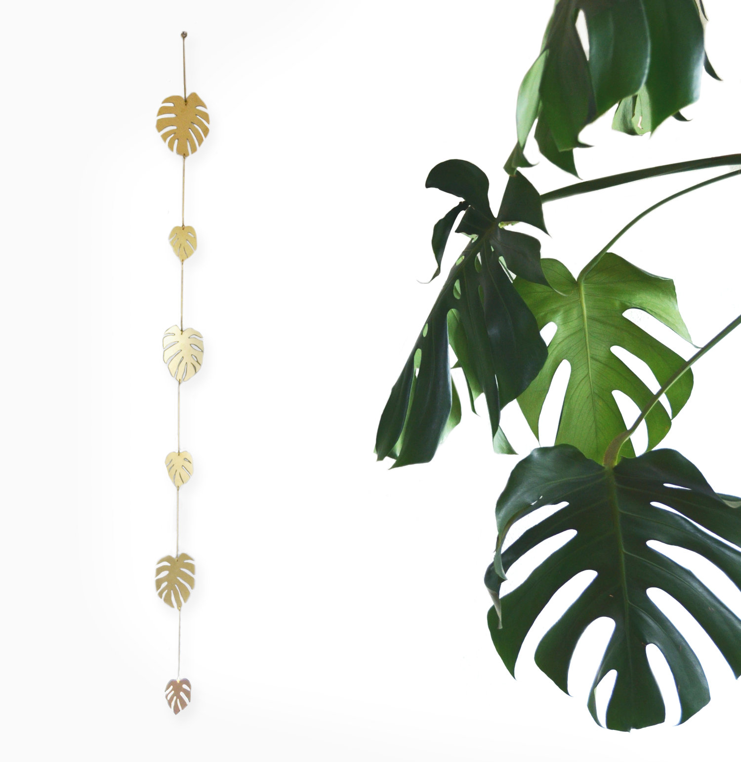 Monstera Vine Wall Hanging - Frock Toronto