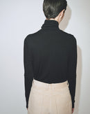 Thin Ribbed Rollneck Top