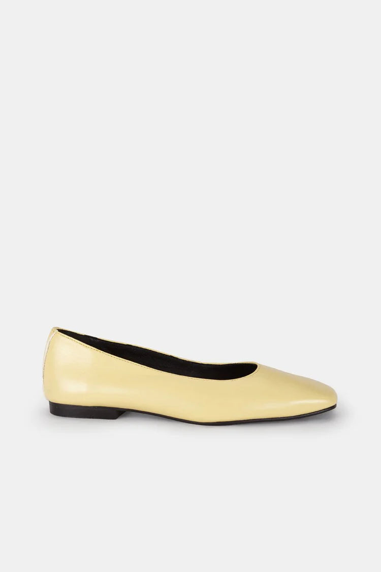 Bausch Shoes