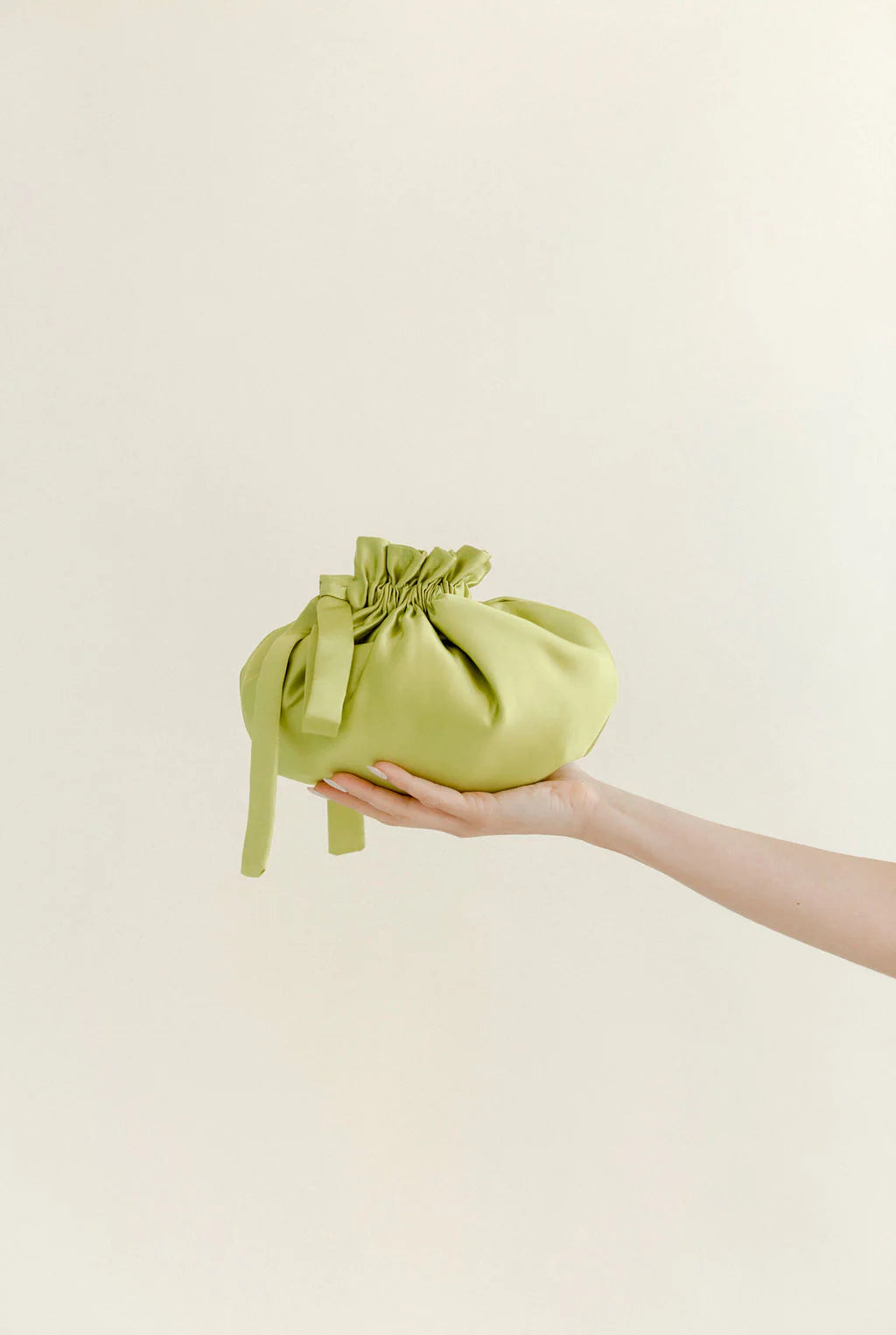 Dumpling Bag