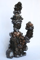 *Katie Lew - Florilegium No. 3 - Frock Toronto