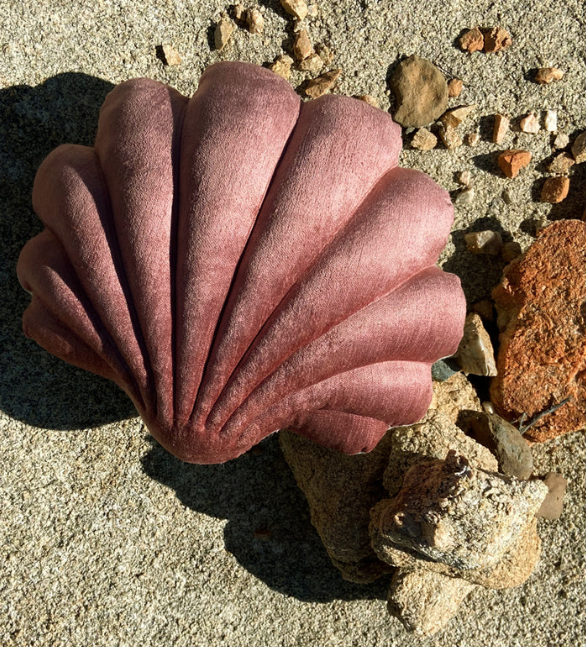 Large Velvet Shell Pillow